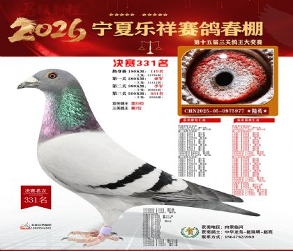 �����������331��