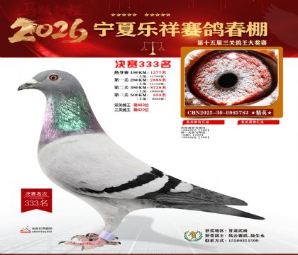 �����������333��