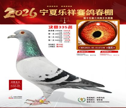 �����������335��