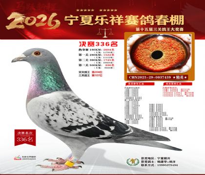 �����������336��