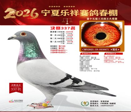 �����������337��