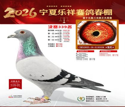 �����������339��