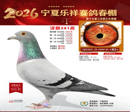 �����������341��