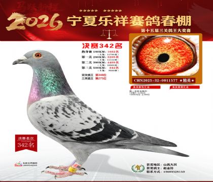 �����������342��