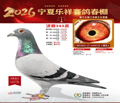 �����������343��