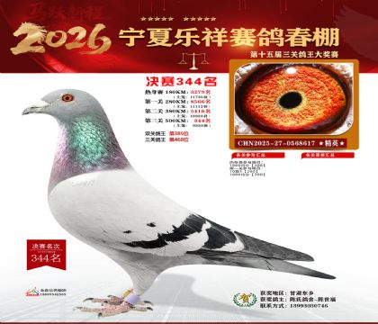 �����������344��