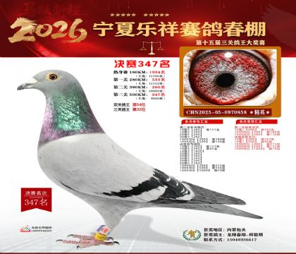 �����������347��