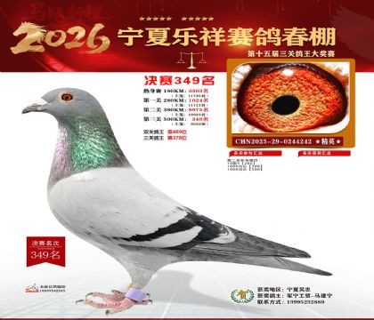 �����������349��