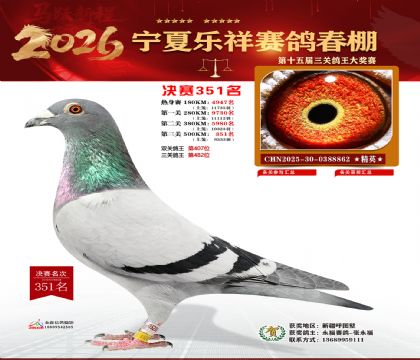 �����������351��