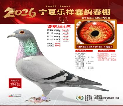 �����������354��