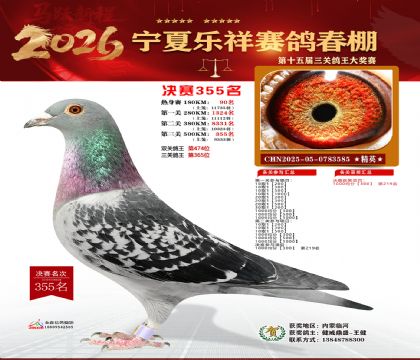 �����������355��