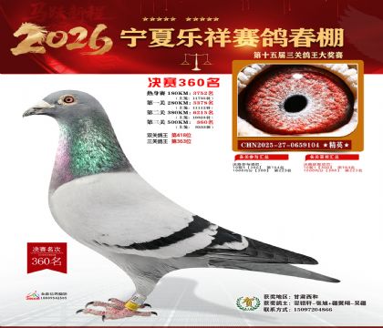 �����������360��