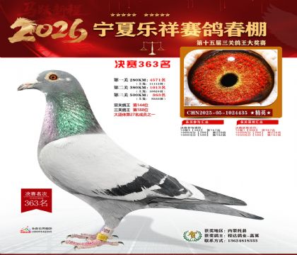 �����������363��