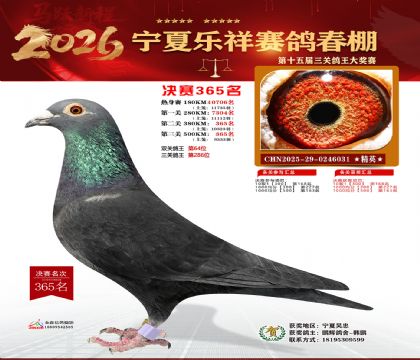 �����������365��