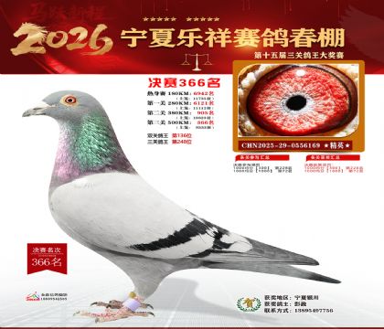 �����������366��