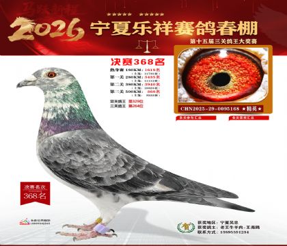 �����������368��