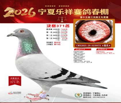 �����������371��