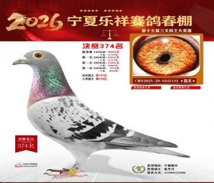 �����������374��