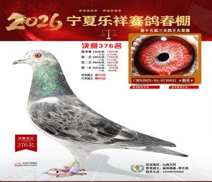 �����������376��