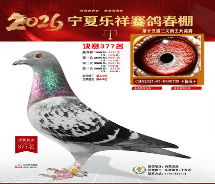 �����������377��