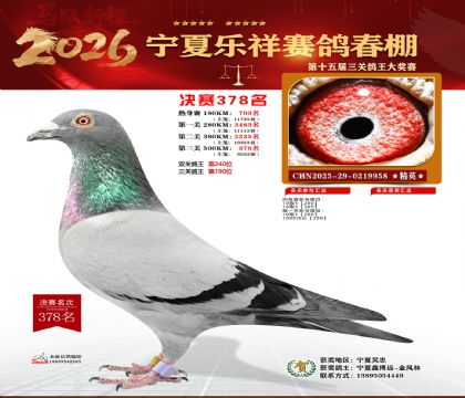 �����������378��