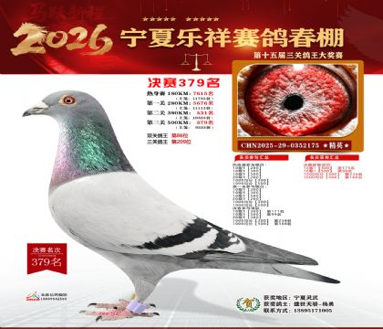 �����������379��