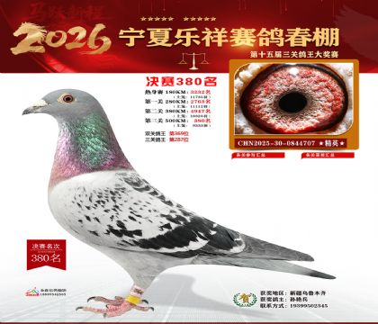 �����������380��