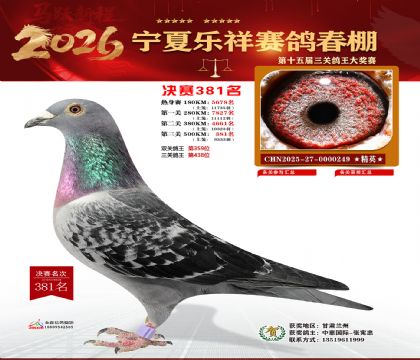 �����������381��