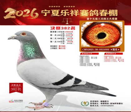 �����������382��