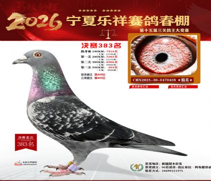 �����������383��