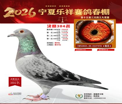 �����������384��