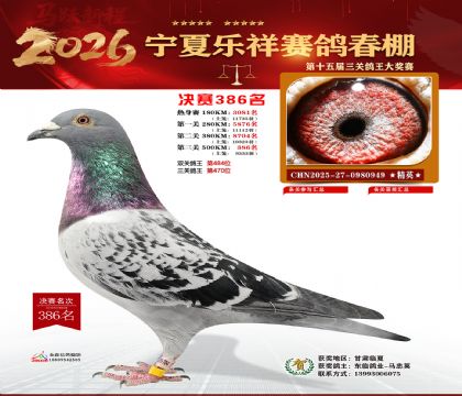 �����������386��