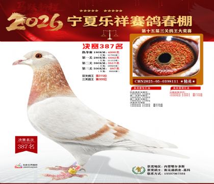 �����������387��