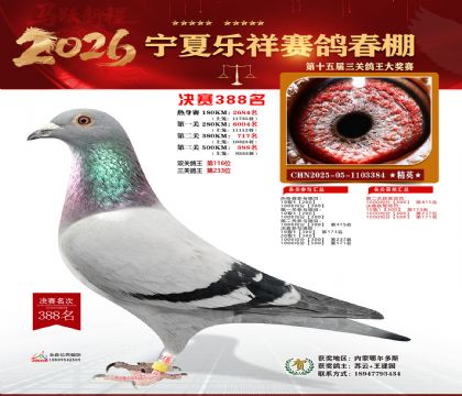 �����������388��