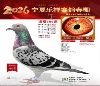 �����������389��