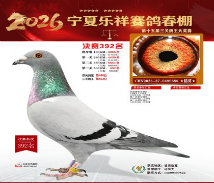 �����������392��