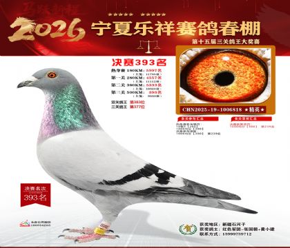 �����������393��