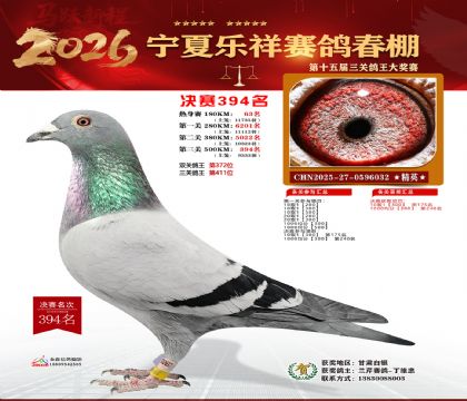 �����������394��