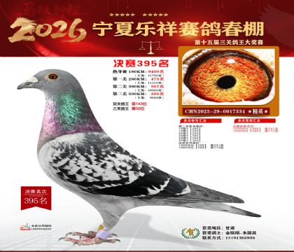 �����������395��