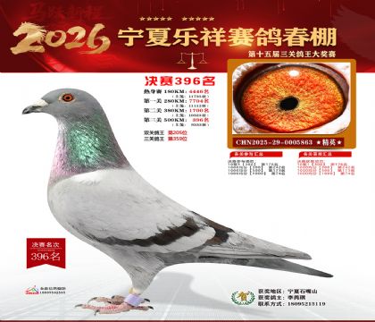 �����������396��