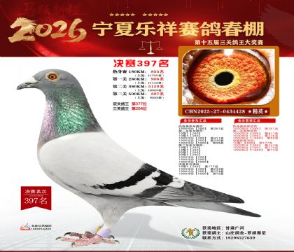 �����������397��