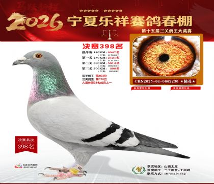 �����������398��