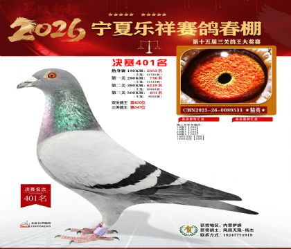 �����������401��