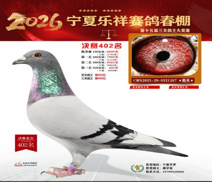 �����������402��