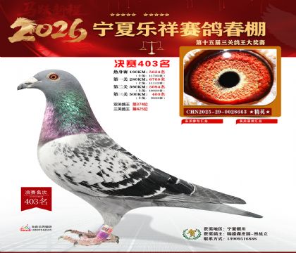 �����������403��