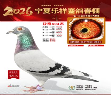 �����������404��