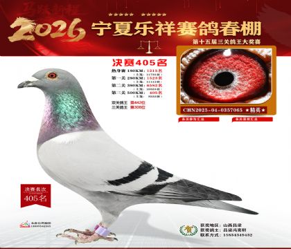 �����������405��