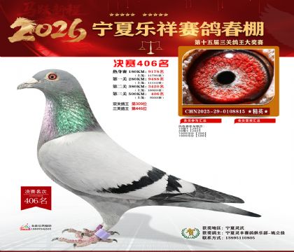 �����������406��