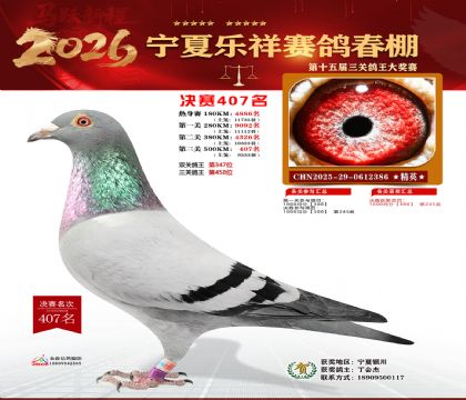 �����������407��