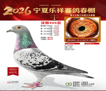 �����������409��